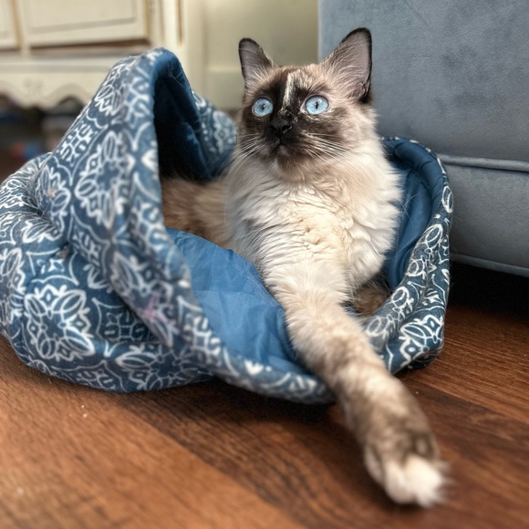 Welcome to Audshop🌟Poshmark Ambassador 🌟 - Picture 15 of 15